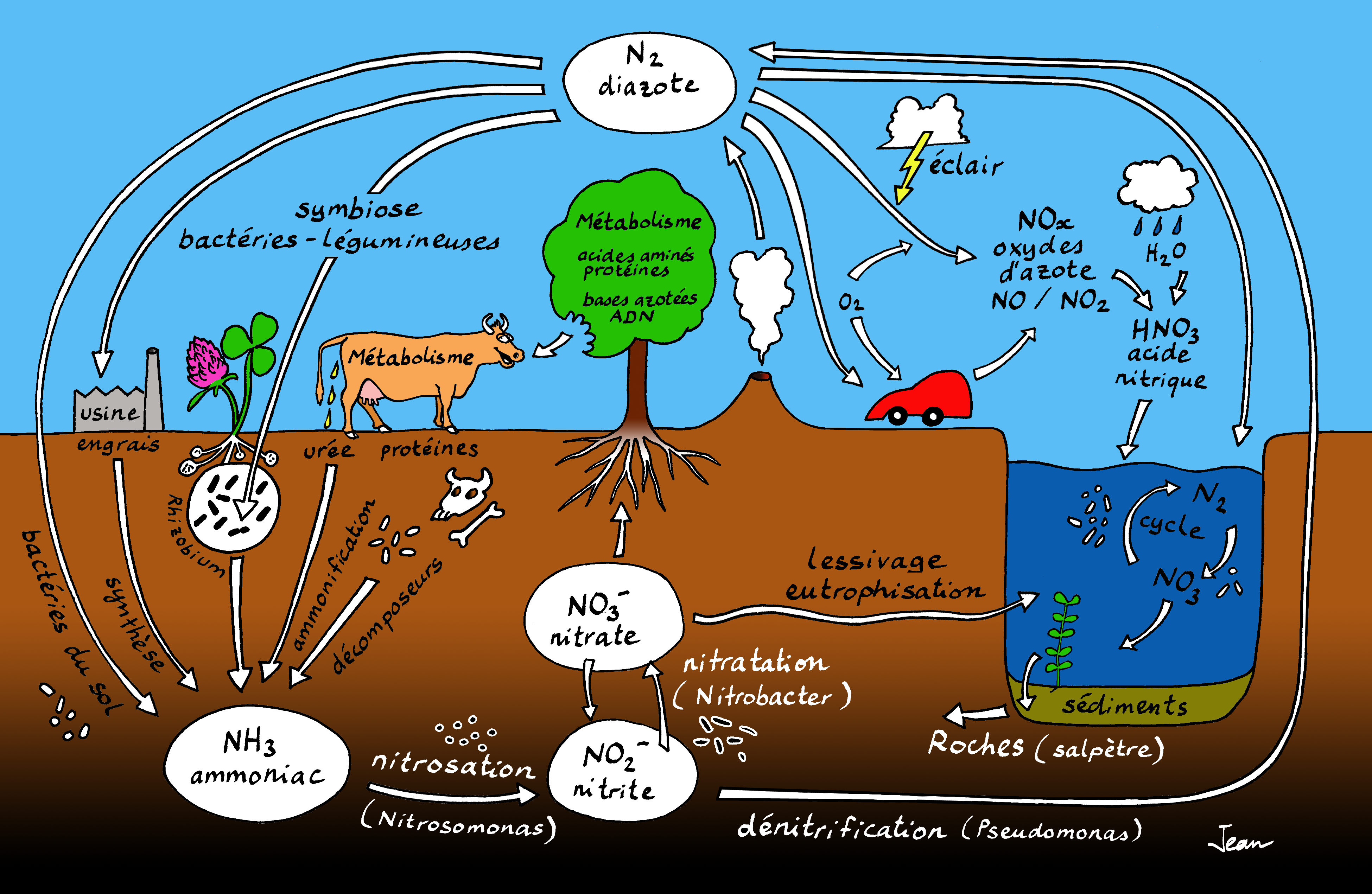 Le Cycle De L Eau C Est Pas Sorcier Cycles